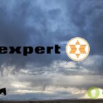 expert