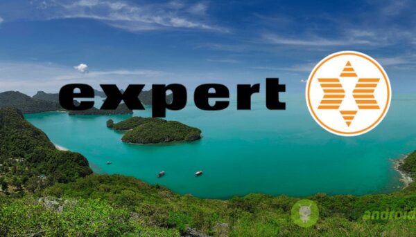 expert