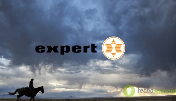 expert