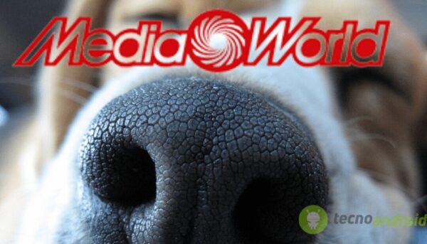 mediaworld