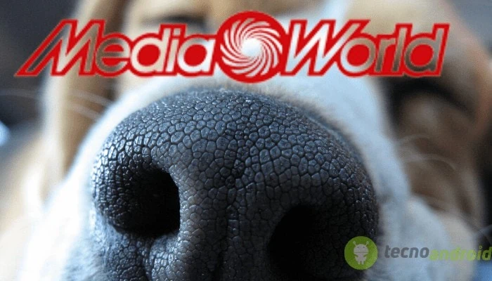 mediaworld