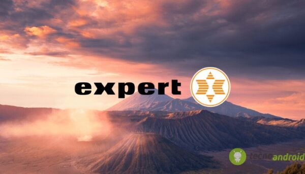 expert