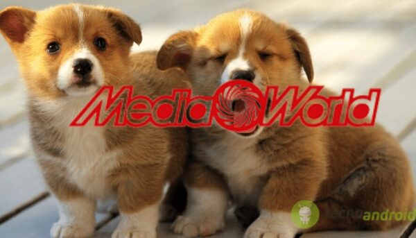 mediaworld