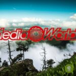 mediaworld