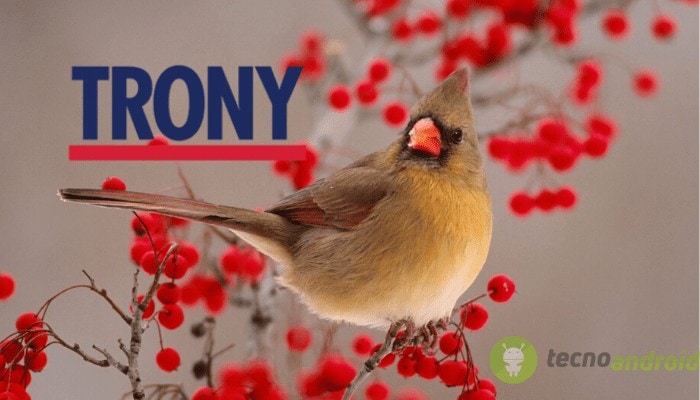 Trony: uno dei migliori SottoCosto dell’anno nel nuovo volantino