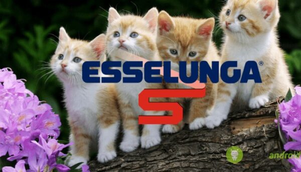 esselunga