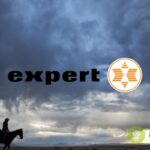 expert