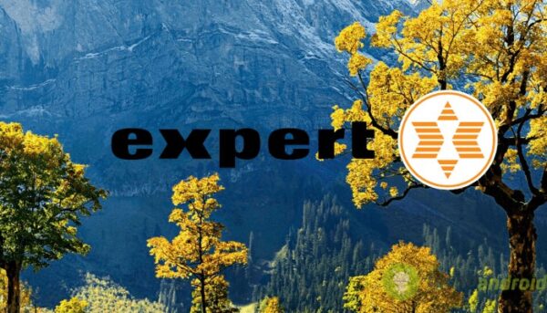 expert