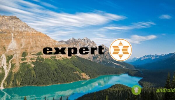 expert