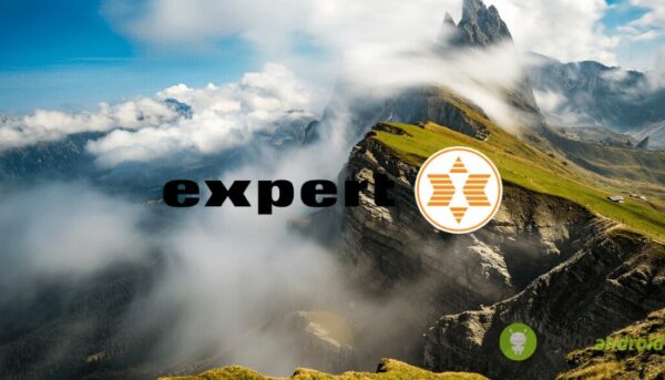 expert