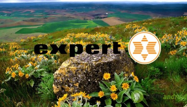 expert