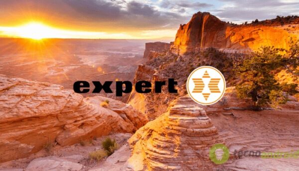 expert