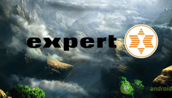 expert