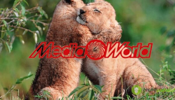 mediaworld