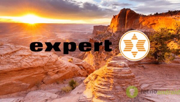 expert