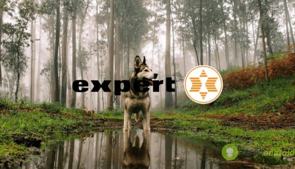 expert