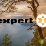 expert