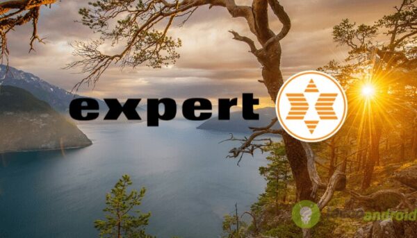 expert