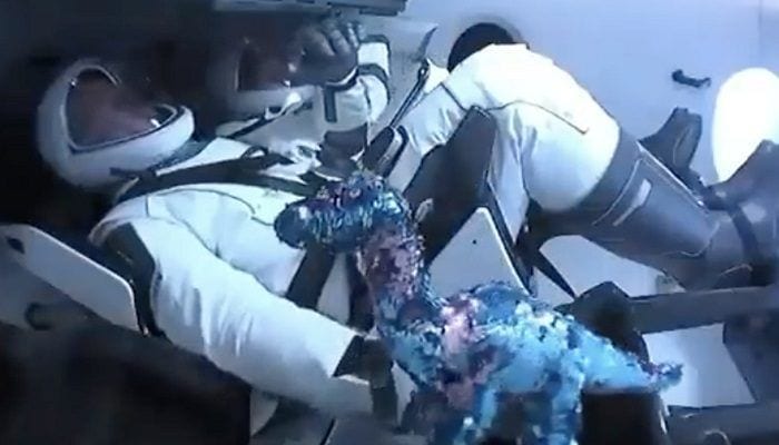 spacex-dinosauro-giocattolo-volo-spaziale