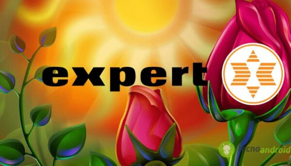expert