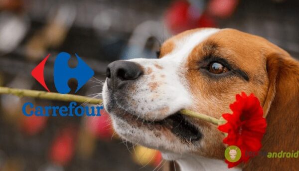 carrefour