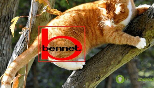 bennet