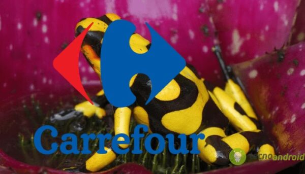 carrefour