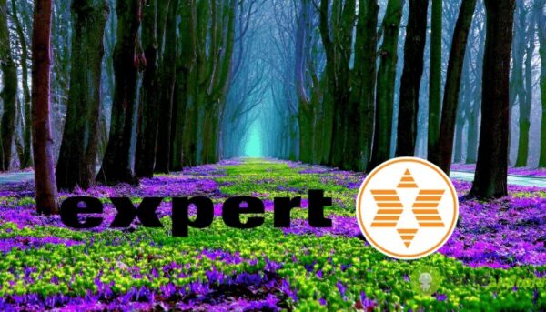 expert