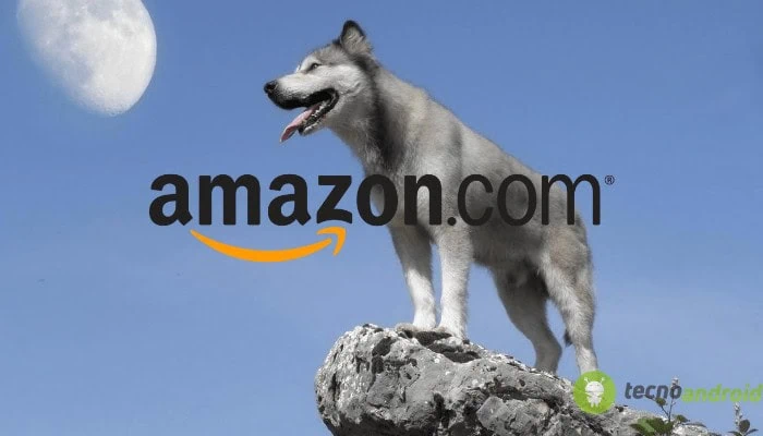 amazon