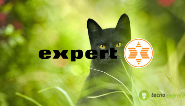 expert