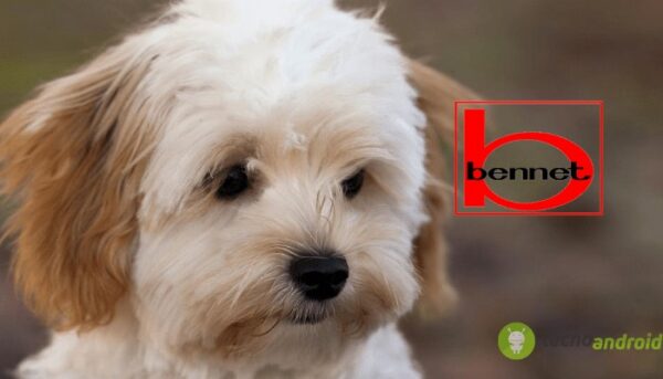 bennet