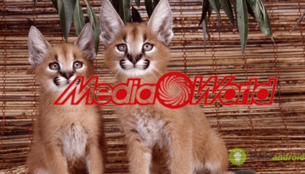 mediaworld