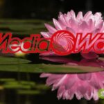 mediaworld