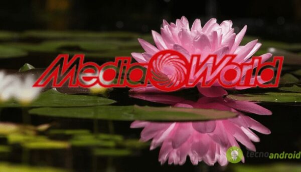 mediaworld