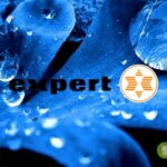 expert