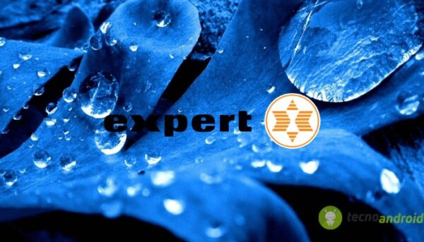 expert