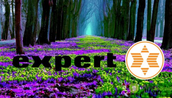 expert