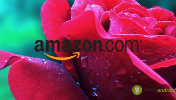 amazon