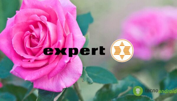 expert