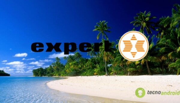 expert