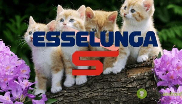 esselunga