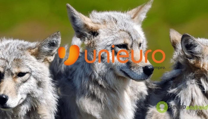 unieuro