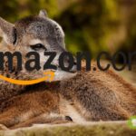 amazon