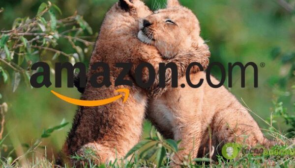 amazon
