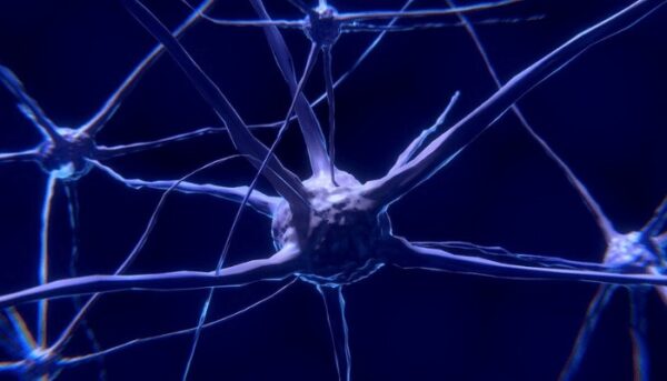 neuralink-musk