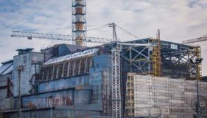 chernobyl-fungo-radiazioni
