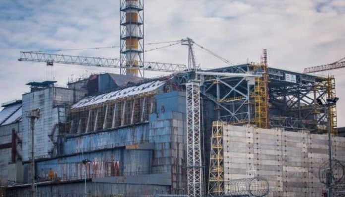 Chernobyl: scoperto un singolare fungo che protegge dalle ...