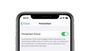 safari-ios-14-password-manager-apple-iphone-ipad