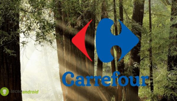 carrefour