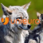 unieuro
